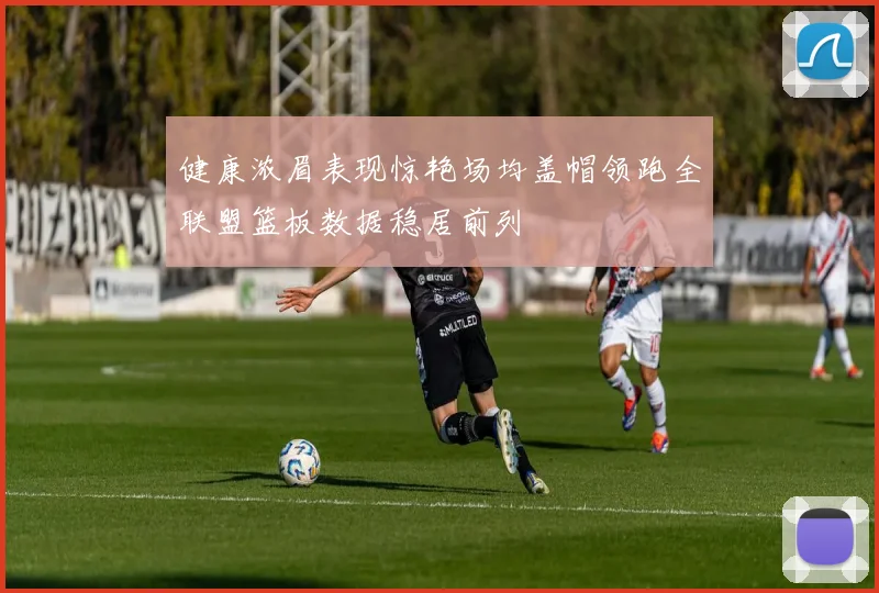 健康浓眉表现惊艳场均盖帽领跑全联盟篮板数据稳居前列