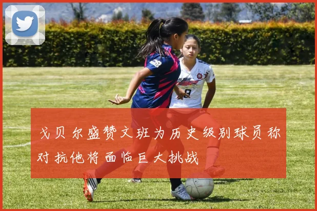 戈贝尔盛赞文班为历史级别球员称对抗他将面临巨大挑战