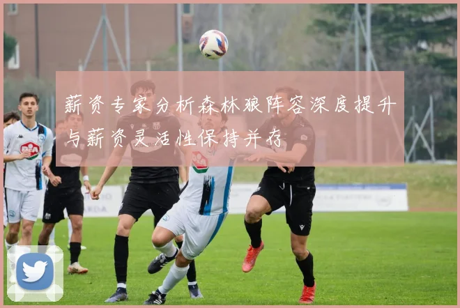 薪资专家分析森林狼阵容深度提升与薪资灵活性保持并存